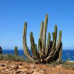 Teneriffa Mietwagen Flughafen