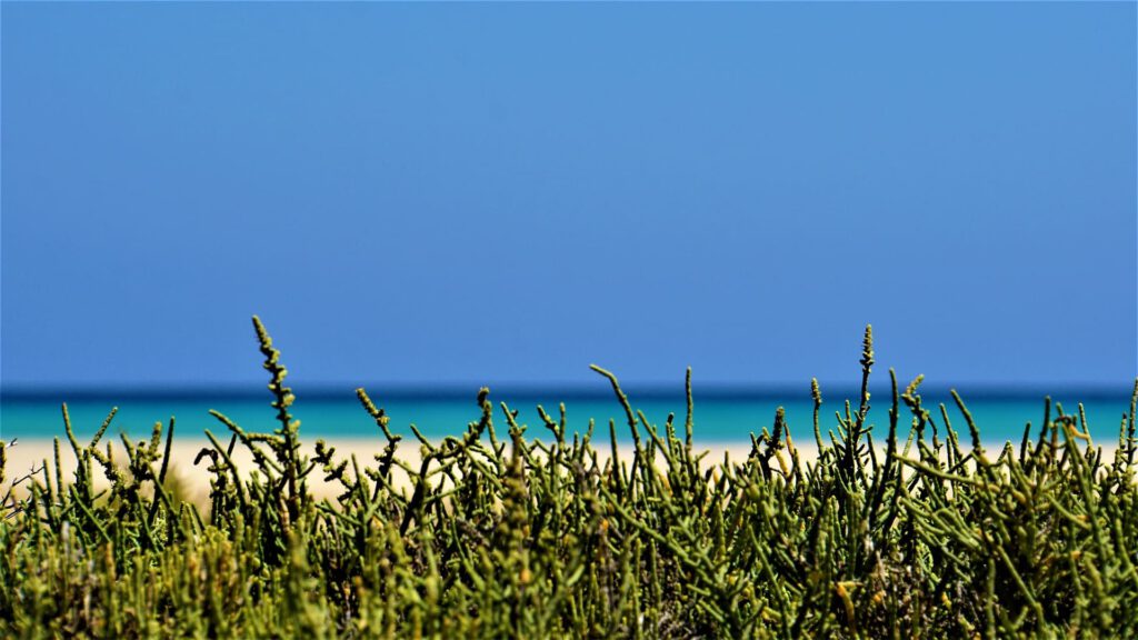 Fuerteventura Mietwagen Flughafen